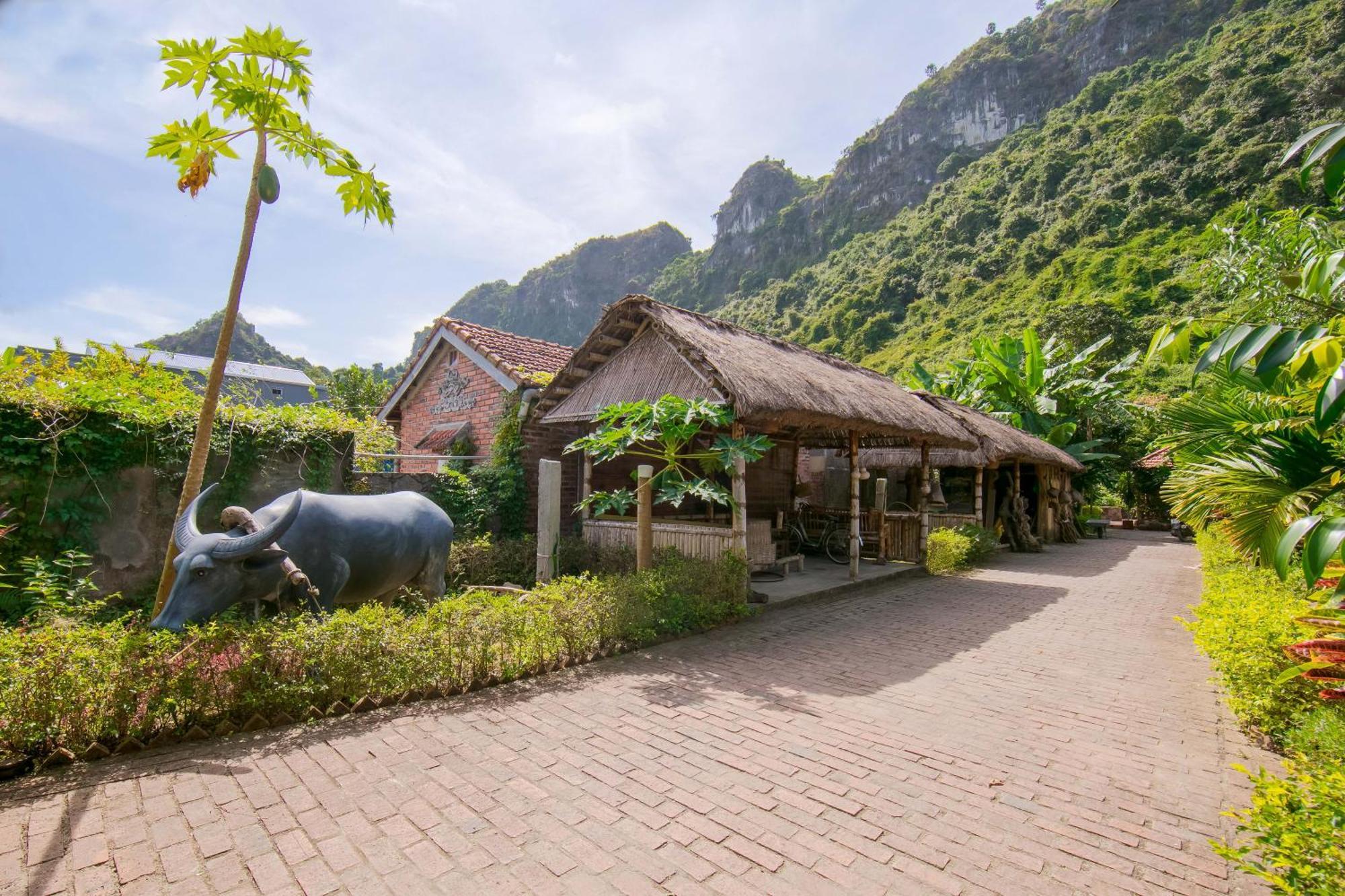 Viet Hai Lan Homestay Trung Trang Εξωτερικό φωτογραφία