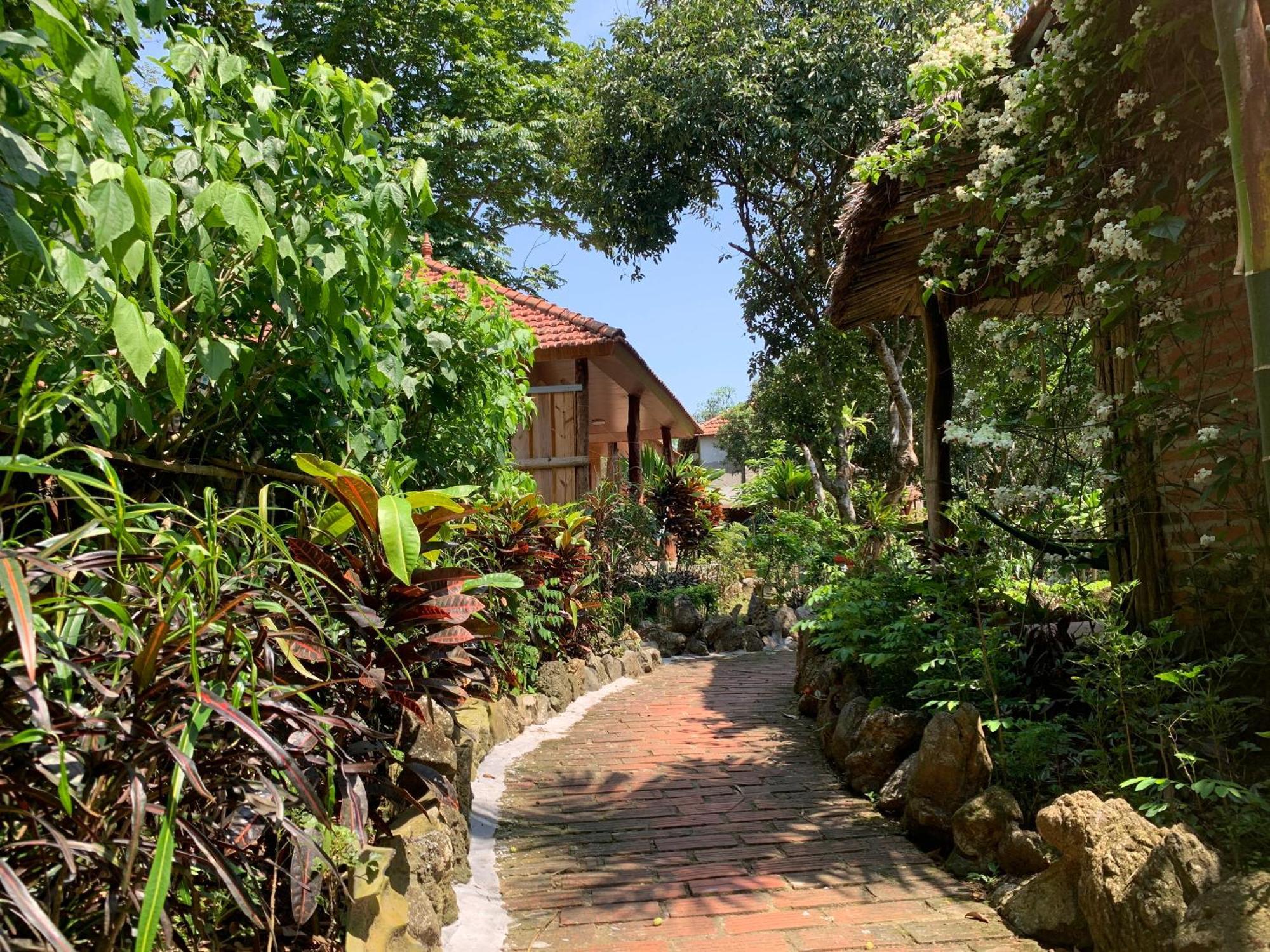 Viet Hai Lan Homestay Trung Trang Εξωτερικό φωτογραφία